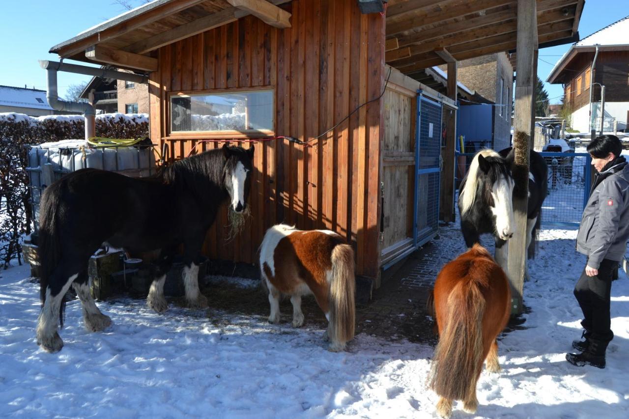 Апартаменты Ferien Bei Freunden Im Holzhaus Моншау Экстерьер фото